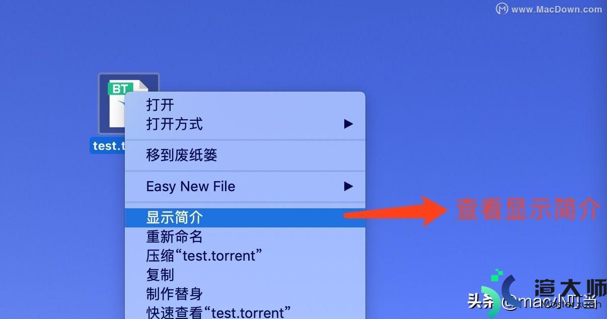 torrent文件怎么打开(苹果torrent文件怎么打开)