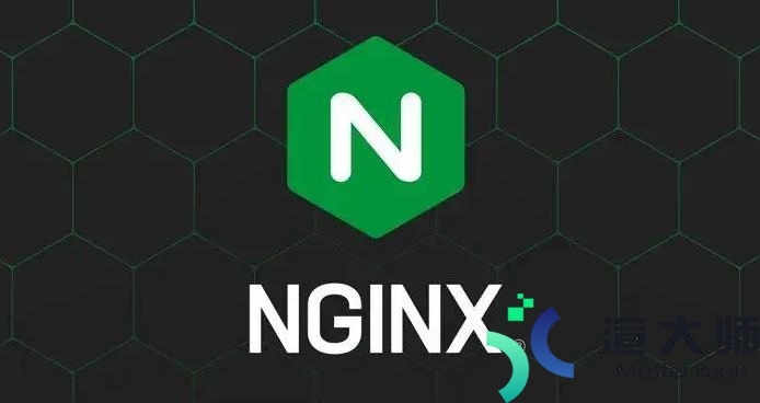 Nginx重新加载配置文件的命令(nginx命令使用什么选项重新加载配置文件)