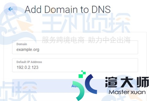 Vultr DNS域名服务器使用教程