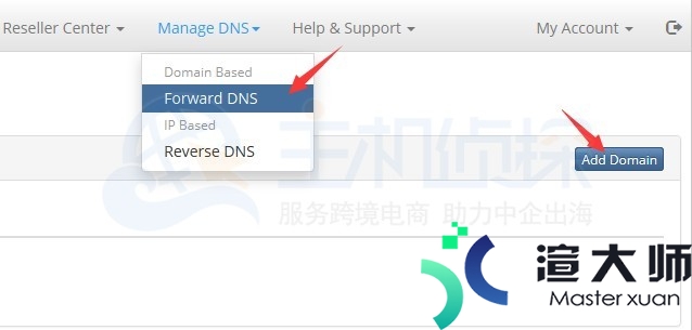 BudgetVM账户申请DNS服务教程