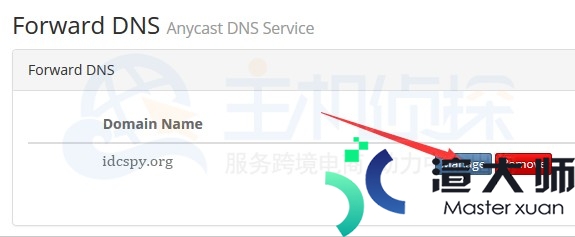 BudgetVM账户申请DNS服务教程