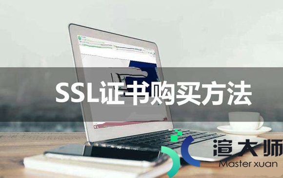 如何挑选合适的SSL证书进行购买(ssl证书怎么购买)