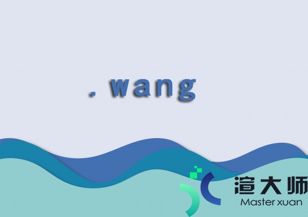 wang域名是什么意思(网站域名是什么意思)