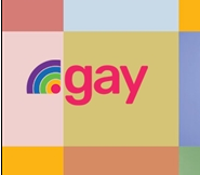 .gay域名国外已经开放注册 .gay域名后续发展