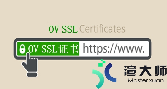 什么是OV SSL证书