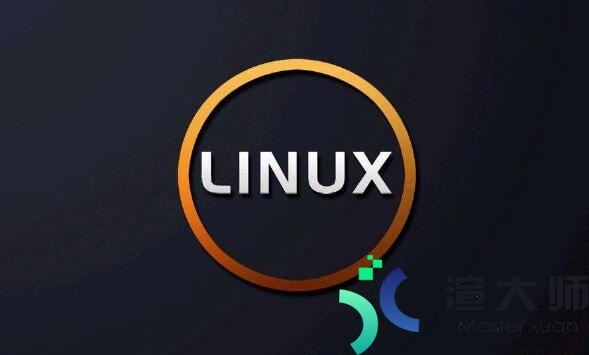 美国虚拟主机大都使用Linux操作系统的原因(虚拟主机windows和linux)