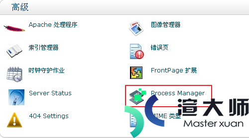 HostMonster等cPanel主机Process Manager介绍