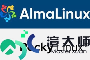 Rocky Linux和AlmaLinux选哪个好(rocky linux怎么样)