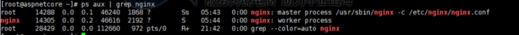 Centos 7查看Nginx状态命令