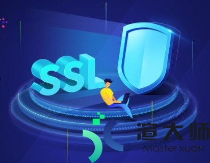 DigiCert SSL证书DNS验证失败原因分析及解决方法