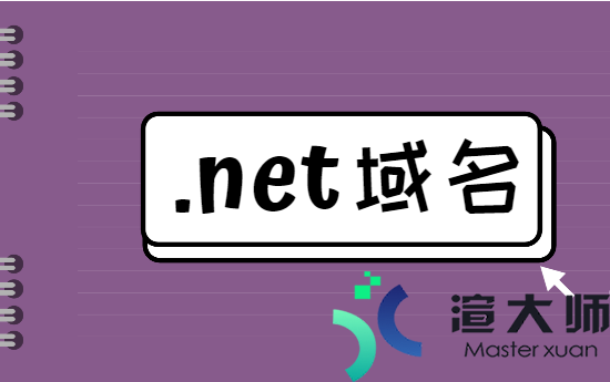 .net域名表示的是什么表示的是什么