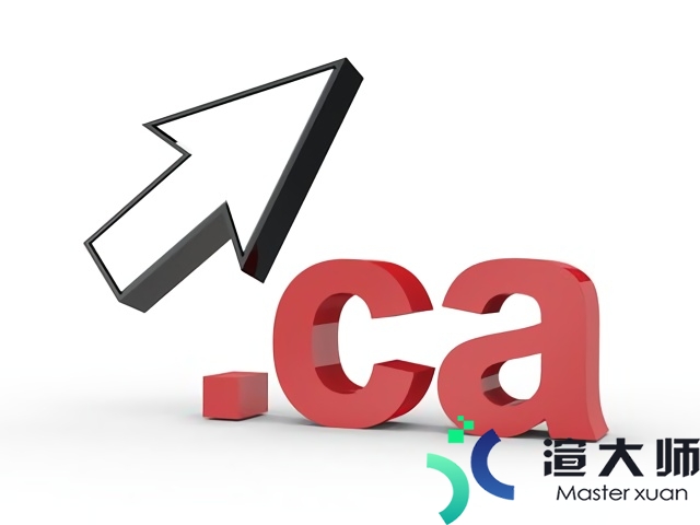 ca域名是什么 ca域名注册需要满足什么条件(域名ca是哪个国家)